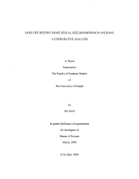 Does Life History Shape Sexual Size Dimorphism in Anurans