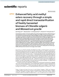 Enhanced Fatty Acid Methyl Esters Recovery Through a Simple And