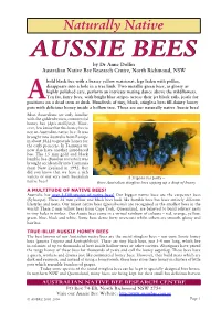 Nat Native Ebook5.Indd