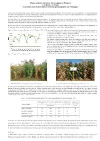 Silage Sorghum and Maize Intercrop. Bucharest 2016