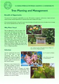 Tree Planting and Management