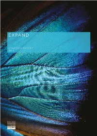 2013 Annual Report and Accounts