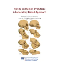 Hands-On Human Evolution: a Laboratory Based Approach