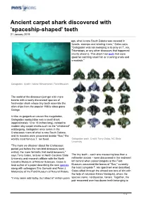 Ancient Carpet Shark Discovered with 'Spaceship-Shaped' Teeth 21 January 2019