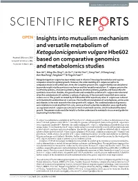 Insights Into Mutualism Mechanism and Versatile Metabolism Of