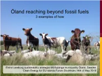 Öland Reaching Beyond Fossil Fuels 3 Examples of How