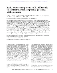 BAP1 Constrains Pervasive H2ak119ub1 to Control the Transcriptional Potential of the Genome