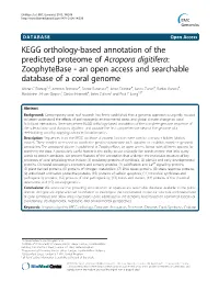 KEGG Orthology-Based Annotation of the Predicted