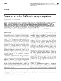 Gephyrin: a Central Gabaergic Synapse Organizer