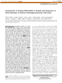 Involvement of Human Micro-RNA in Growth and Response to Chemotherapy in Human Cholangiocarcinoma Cell Lines