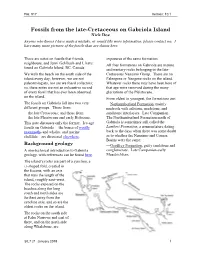 Late-Cretaceous Fossils on Gabriola Island