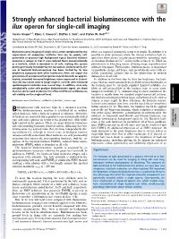 Strongly Enhanced Bacterial Bioluminescence with the Ilux Operon for Single-Cell Imaging