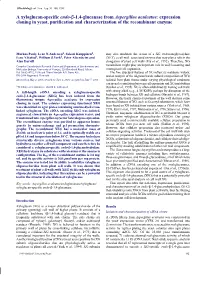 A Xyloglucan-Specific Endo-Β-1,4-Glucanase from Aspergillus Aculeatus: Expression Cloning in Yeast, Purification and Characterization of the Recombinant Enzyme