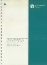 Display PDF in Separate