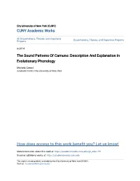 The Sound Patterns of Camuno: Description and Explanation in Evolutionary Phonology