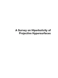A Survey on Hiperbolicity of Projective Hypersurfaces