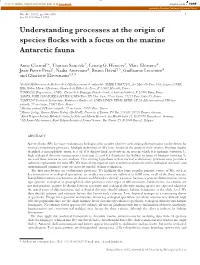 Understanding Processes at the Origin of Species Flocks with A