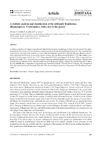 A Cladistic Analysis and Classification of the Subfamily Bembicinae (Hymenoptera: Crabronidae), with a Key to the Genera