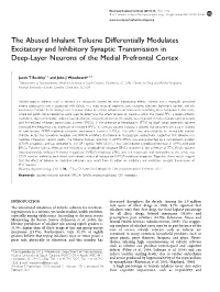 The Abused Inhalant Toluene Differentially Modulates Excitatory and Inhibitory Synaptic Transmission in Deep-Layer Neurons of the Medial Prefrontal Cortex