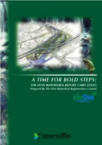 A Time for Bold Steps