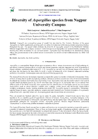 Diversity of Aspergillus Species from Nagpur University Campus