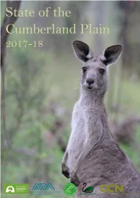GSLN-CCN-State-Of-The-Cumberland-2018.Pdf