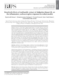 Beneficial Effects of Methanolic Extract of Indigofera Linnaei Ali. on The