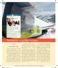 Sensation and Perception