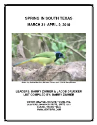 Spring in South Texas