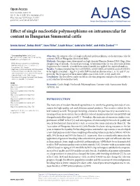 Effect of Single Nucleotide Polymorphisms on Intramuscular Fat Content in Hungarian Simmental Cattle