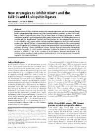 New Strategies to Inhibit KEAP1 and the Cul3-Based E3 Ubiquitin Ligases