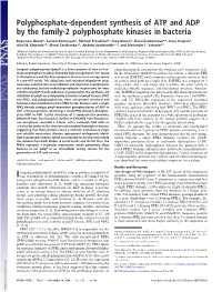 Polyphosphate-Dependent Synthesis of ATP and ADP by the Family-2 Polyphosphate Kinases in Bacteria
