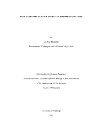 REGULATION of METABOLISM by the ONCOPROTEIN C-MYC by Lia