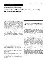 Genomic Structure and Chromosomal Localization of the Gene Encoding TRAX, a Translin-Associated Factor X
