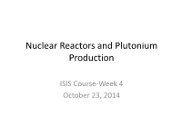 Nuclear Reactors and Plutonium Production