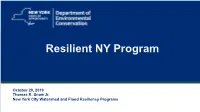Resilient NY Program