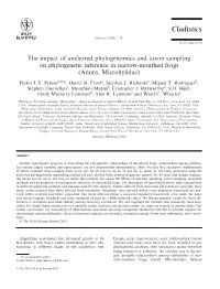 The Impact of Anchored Phylogenomics and Taxon Sampling on Phylogenetic Inference in Narrow-Mouthed Frogs (Anura, Microhylidae)