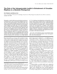 The Role of the Intergeniculate Leaflet in Entrainment of Circadian