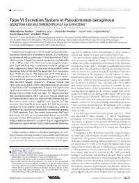 Type VI Secretion System in Pseudomonas Aeruginosa