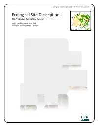 Ecological Site Description| Till Protected Backslope Forest