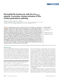 Drosophila Ric-8 Interacts with the Gα12/13 Subunit, Concertina, During Activation of the Folded Gastrulation Pathway