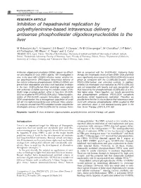 Inhibition of Hepadnaviral Replication by Polyethylenimine-Based Intravenous Delivery of Antisense Phosphodiester Oligodeoxynucleotides to the Liver