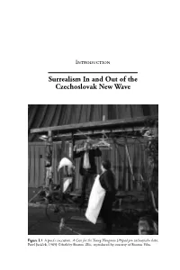 Surrealism in and out of the Czechoslovak New Wave
