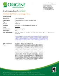 TMEM126B (BC017574) Human Untagged Clone – SC105901