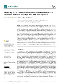 Variability of the Chemical Composition of the Essential Oil from the Amazonian Ishpingo Species (Ocotea Quixos)