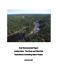 Draft Environmental Report Ivanhoe River
