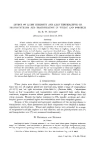 Effect of Light Intensity and Leaf Temperature on Photosynthesis and Transpiration in Wheat and Sorghum