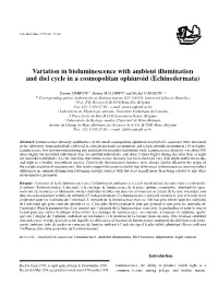 Variation in Bioluminescence with Ambient Illumination and Diel Cycle in a Cosmopolitan Ophiuroid (Echinodermata)