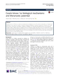 Casein Kinase 1Α: Biological Mechanisms and Theranostic Potential Shaojie Jiang1†, Miaofeng Zhang2†, Jihong Sun1 and Xiaoming Yang1,3*