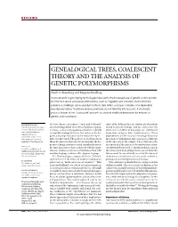 Genealogical Trees, Coalescent Theory and the Analysis of Genetic Polymorphisms